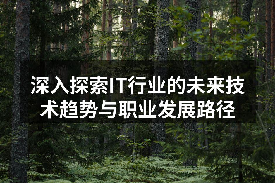 深入探索IT行业的未来技术趋势与职业发展路径